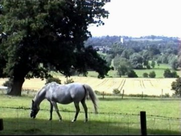 A view of the Stour Valley and Dedham Vale